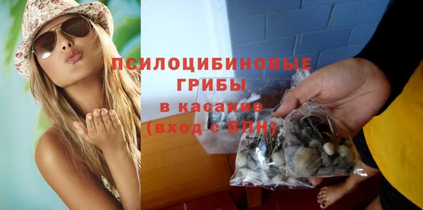 крисы Абаза