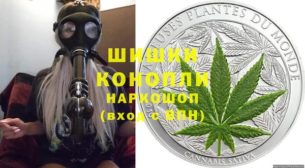 крисы Абаза
