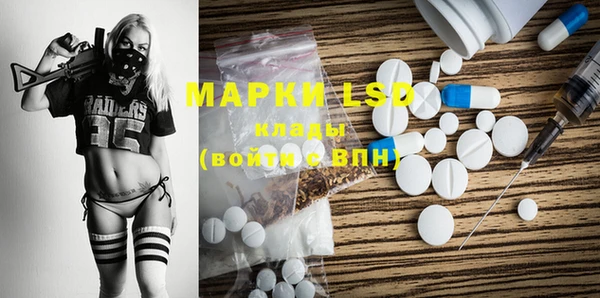 крисы Абаза