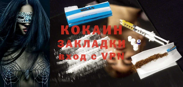 крисы Абаза