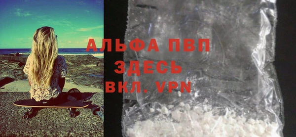крисы Абаза