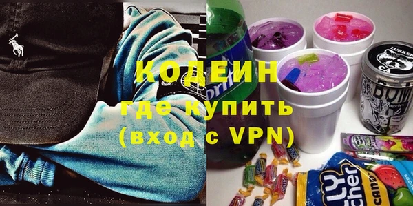 крисы Абаза