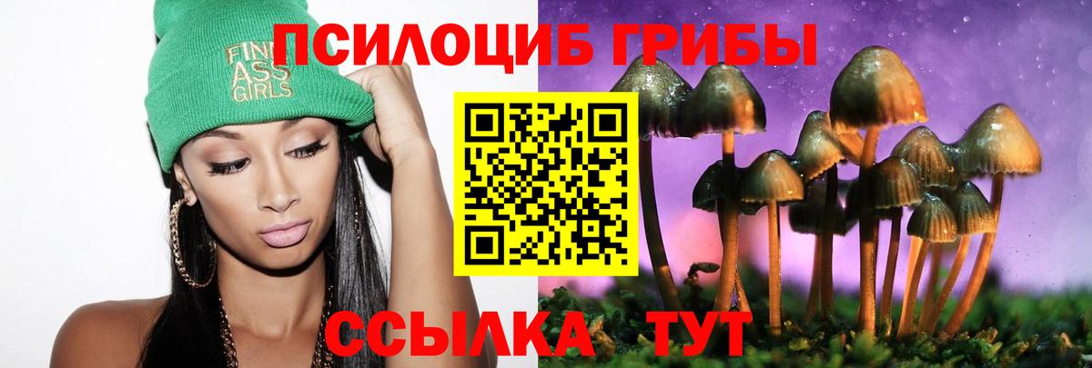 Псилоцибиновые грибы MAGIC MUSHROOMS Зеленодольск